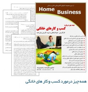 کتاب همه چیز درباره کسب و کارهای خانگی