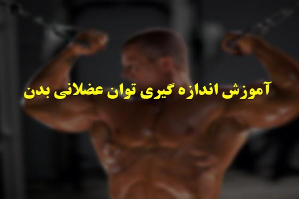 پاورپوینت آموزش اندازه گیری توان عضلانی بدن