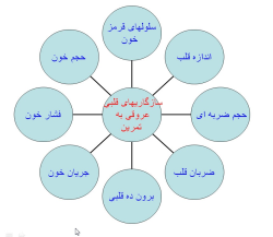 پاورپوینت فیزیولوژی قلب و ریه در فعالیت ورزشی