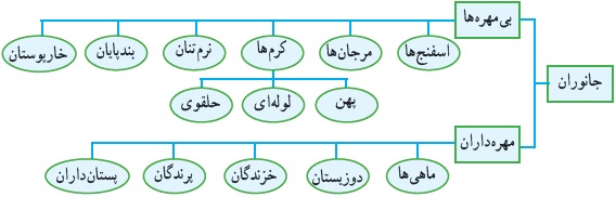 پاورپوینت طبقه بندی حیوانات و محل زندگی حیوانات (کودکانه)